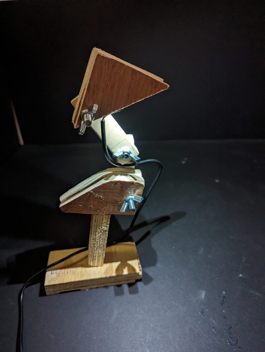 Bird Shaped Zoomorphic Lamp by Year 9 student